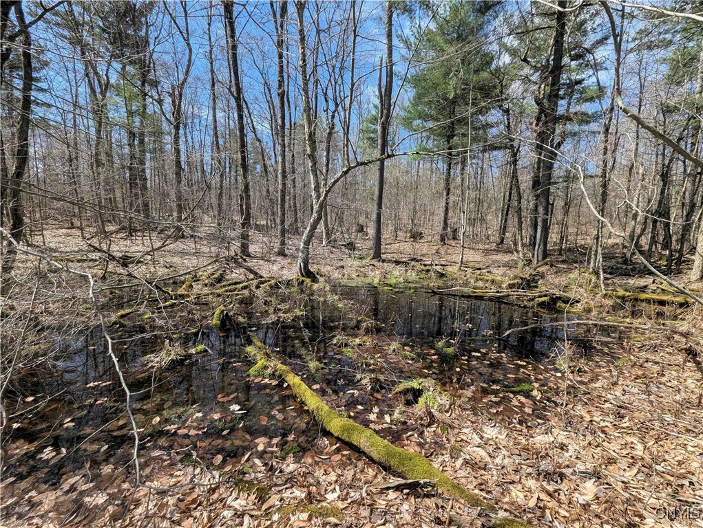 Swartz Road, Springwater, New York image 36