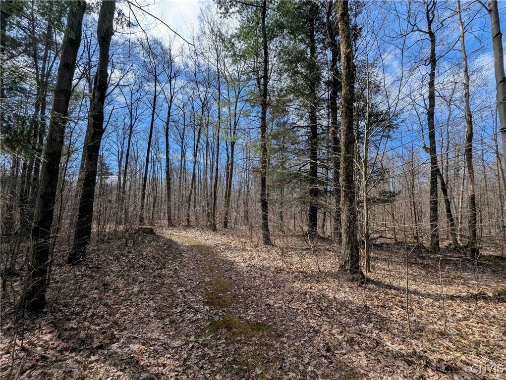 Swartz Road, Springwater, New York image 23