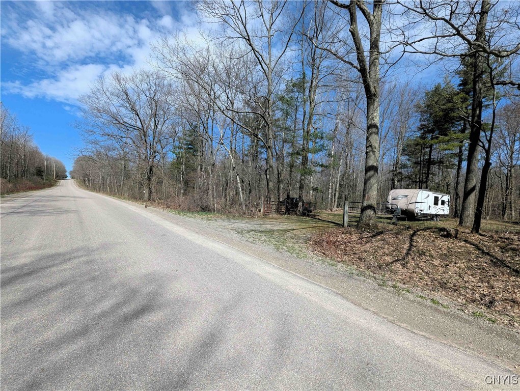 Swartz Road, Springwater, New York image 4