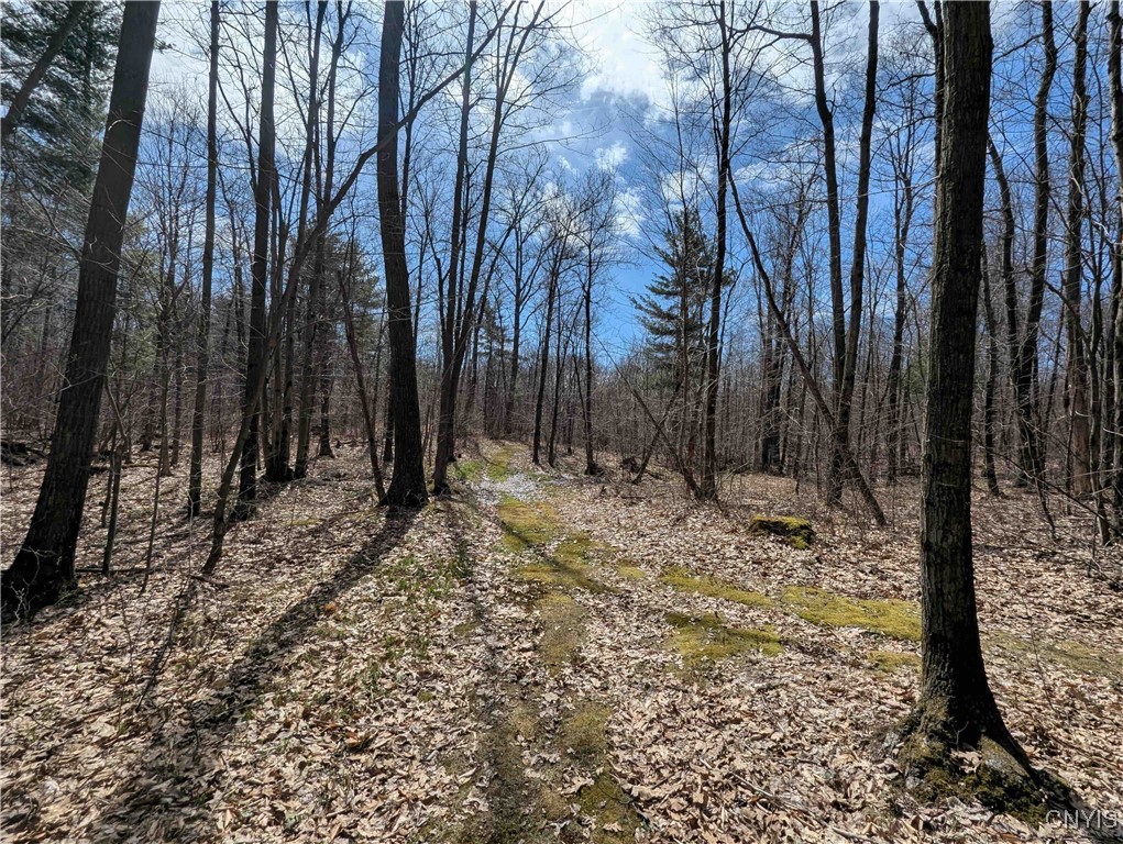 Swartz Road, Springwater, New York image 38