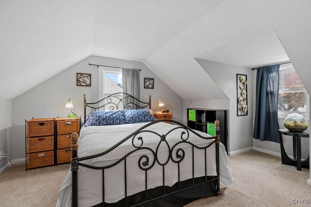117 Terrace Drive, Camillus, New York image 21