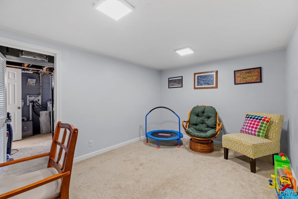 117 Terrace Drive, Camillus, New York image 27