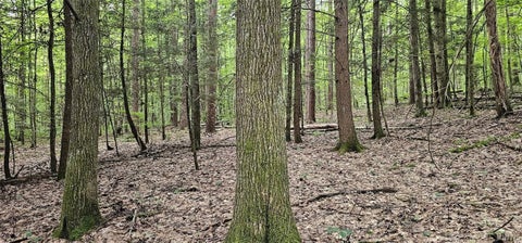 Tiny photo for Union Hill Road, Candor, NY 13743 (MLS # S1710850)