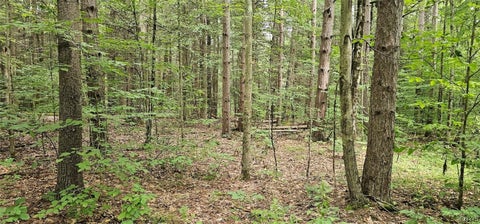 Tiny photo for Union Hill Road, Candor, NY 13743 (MLS # S1710850)