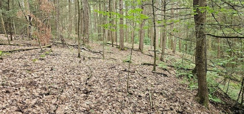Tiny photo for Union Hill Road, Candor, NY 13743 (MLS # S1710850)