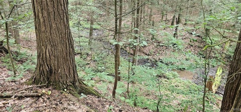 Tiny photo for Union Hill Road, Candor, NY 13743 (MLS # S1710850)