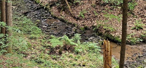 Tiny photo for Union Hill Road, Candor, NY 13743 (MLS # S1710850)