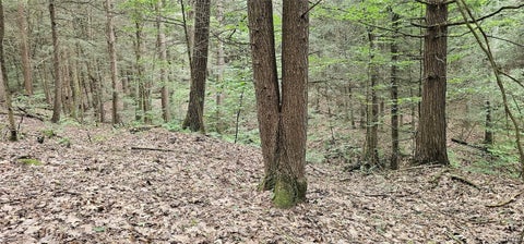 Tiny photo for Union Hill Road, Candor, NY 13743 (MLS # S1710850)