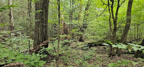 Tiny photo for Union Hill Road, Candor, NY 13743 (MLS # S1710850)