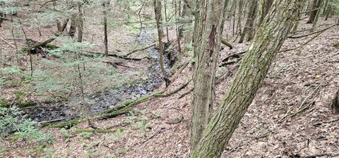 Tiny photo for Union Hill Road, Candor, NY 13743 (MLS # S1710850)