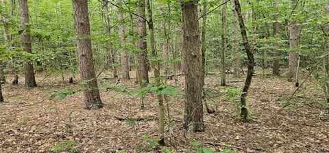 Tiny photo for Union Hill Road, Candor, NY 13743 (MLS # S1710850)