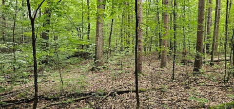 Tiny photo for Union Hill Road, Candor, NY 13743 (MLS # S1710850)