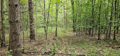 Tiny photo for Union Hill Road, Candor, NY 13743 (MLS # S1710850)