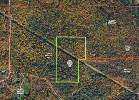 Tiny photo for Union Hill Road, Candor, NY 13743 (MLS # S1710850)