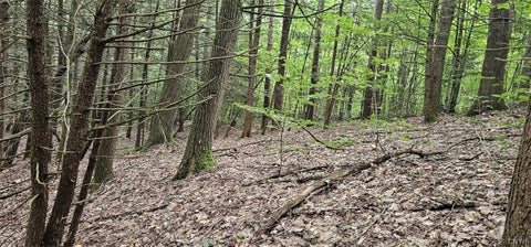 Tiny photo for Union Hill Road, Candor, NY 13743 (MLS # S1710850)