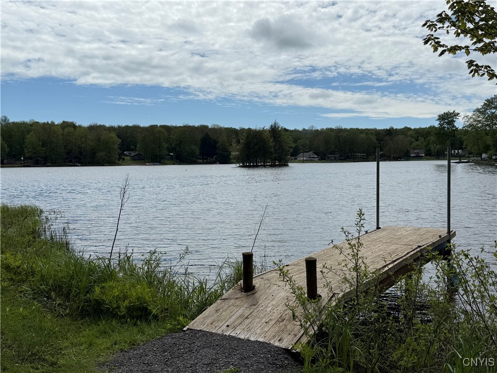 93 Lorton Lake Dr Drive, Orwell, New York image 38