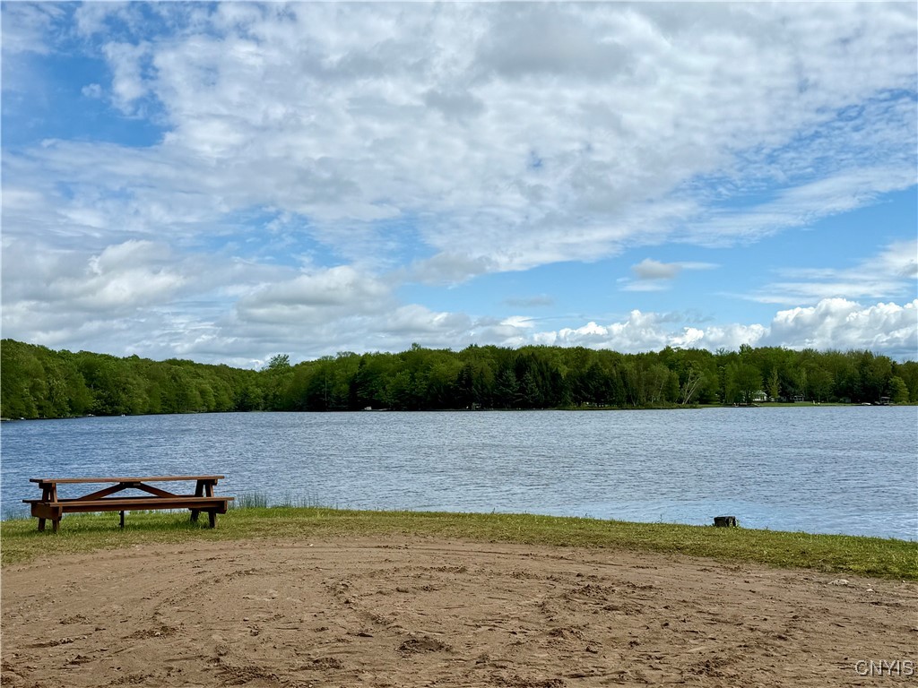 93 Lorton Lake Dr Drive, Orwell, New York image 39
