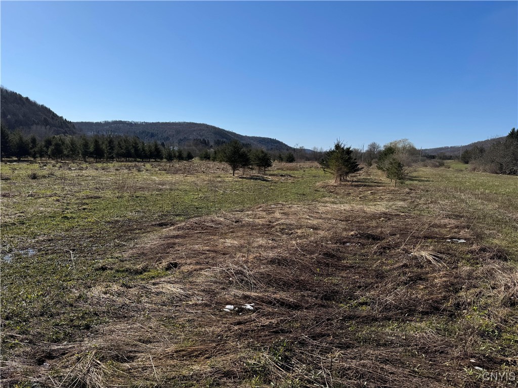 3723 Five Mile Road, Allegany, New York image 19