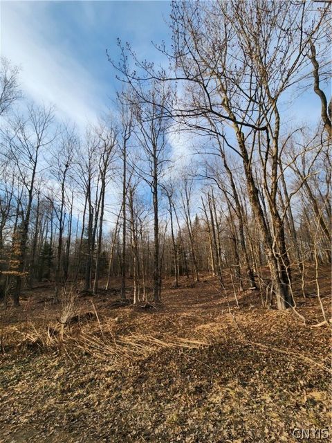 Vacant Land For Sale - 0000 Jess Drive<br/> Oswego County, Redfield, NY 13437