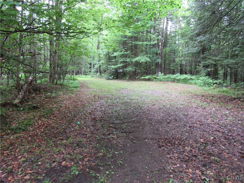 Lot 150 Little Beaver Lake Road