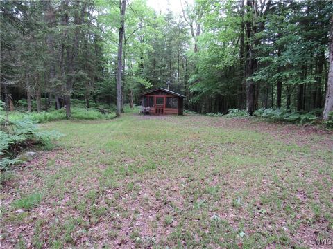 Lot 150 Little Beaver Lake Road Forestport NY 13338