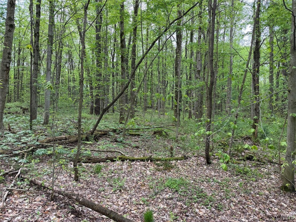 Kellogg Hill Road