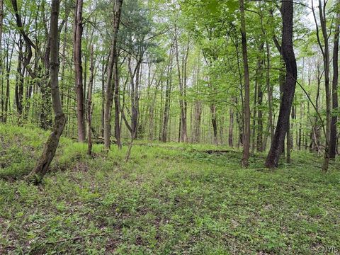 Vacant Land For Sale - Kellogg Hill Road<br/> Leon, NY 14138
