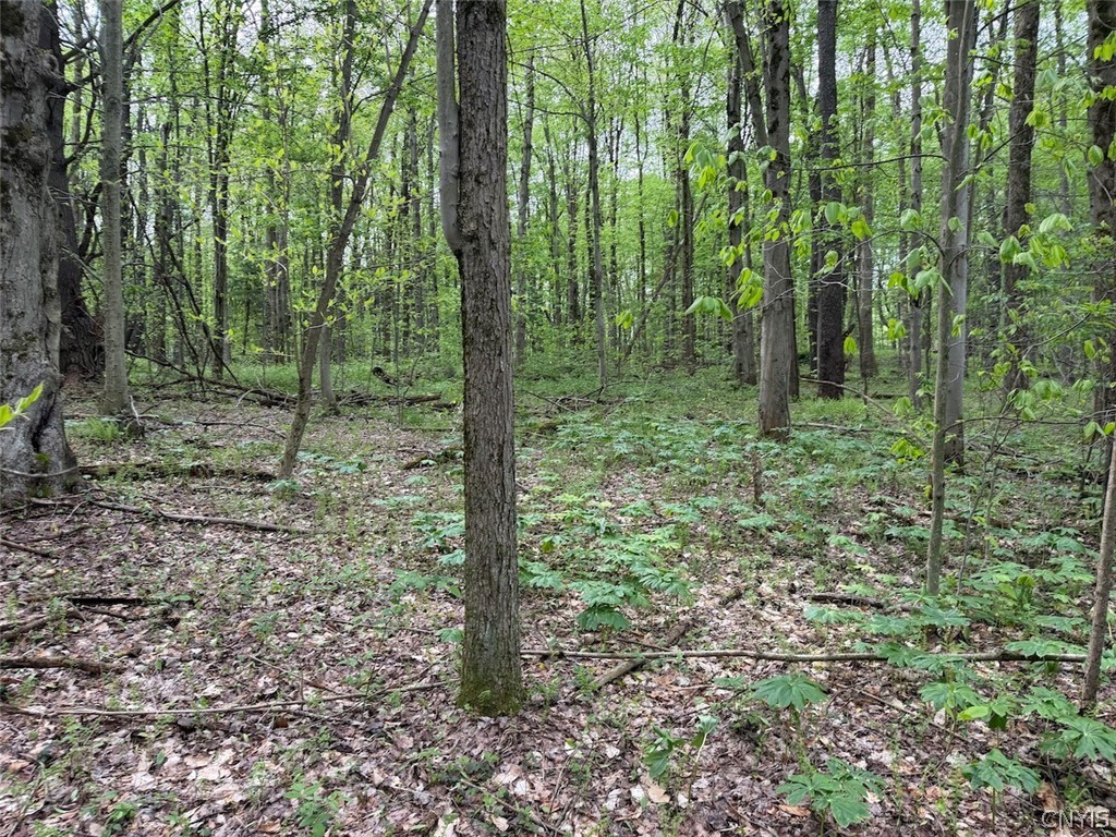 Kellogg Hill Road