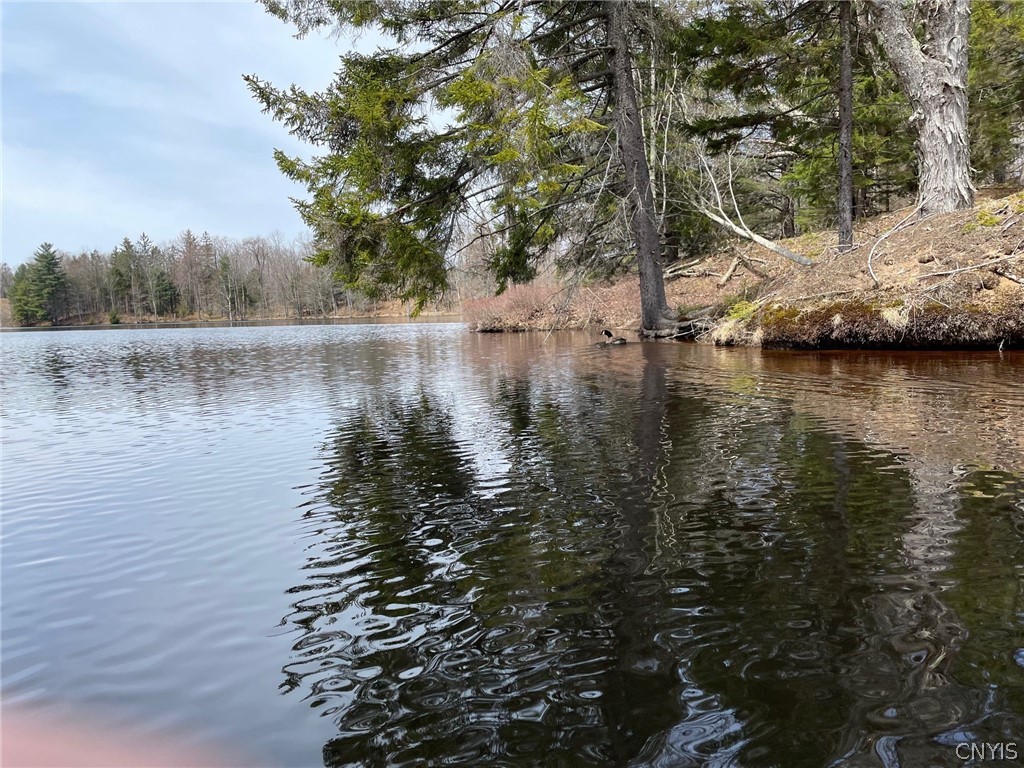 10416 Soft Maple Reservoir