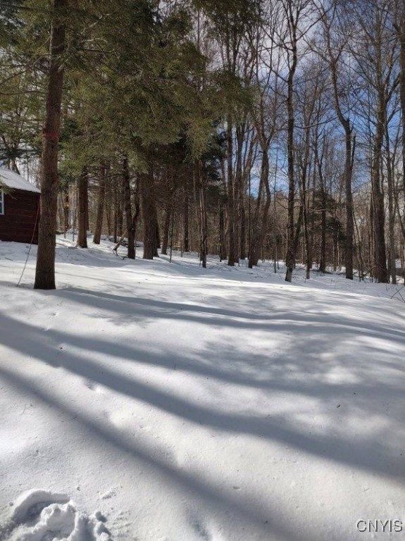 L11 & 13 W Lake Road, Brookfield, New York image 7