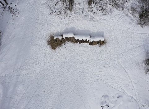 Tiny photo for 1433 Forsythe Road, Independence, NY 14895 (MLS # S1655607)