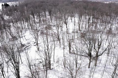 Tiny photo for 1433 Forsythe Road, Independence, NY 14895 (MLS # S1655607)