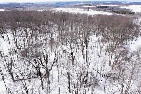 Tiny photo for 1433 Forsythe Road, Independence, NY 14895 (MLS # S1655607)