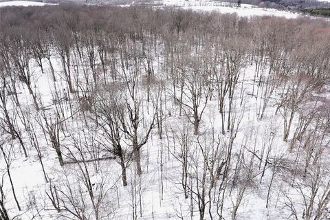 Tiny photo for 1433 Forsythe Road, Independence, NY 14895 (MLS # S1655607)