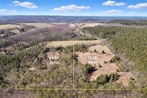 Springer Road, Lincklaen, NY 13052 - #: S1673189