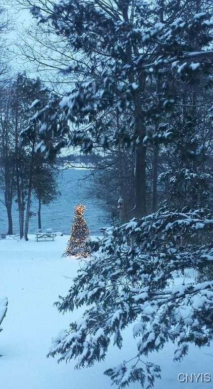 3435 E Lake Road, Skaneateles, New York image 48