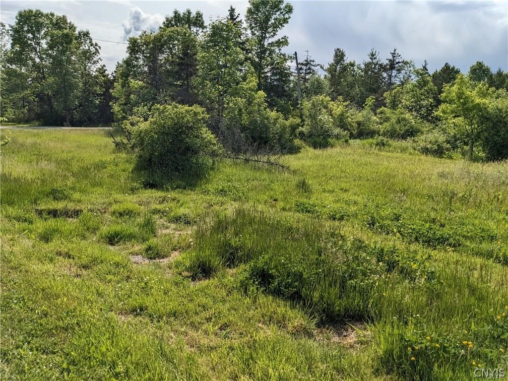 Old Town Springs Road