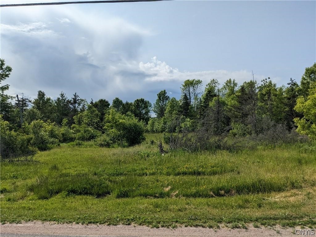 Old Town Springs Road