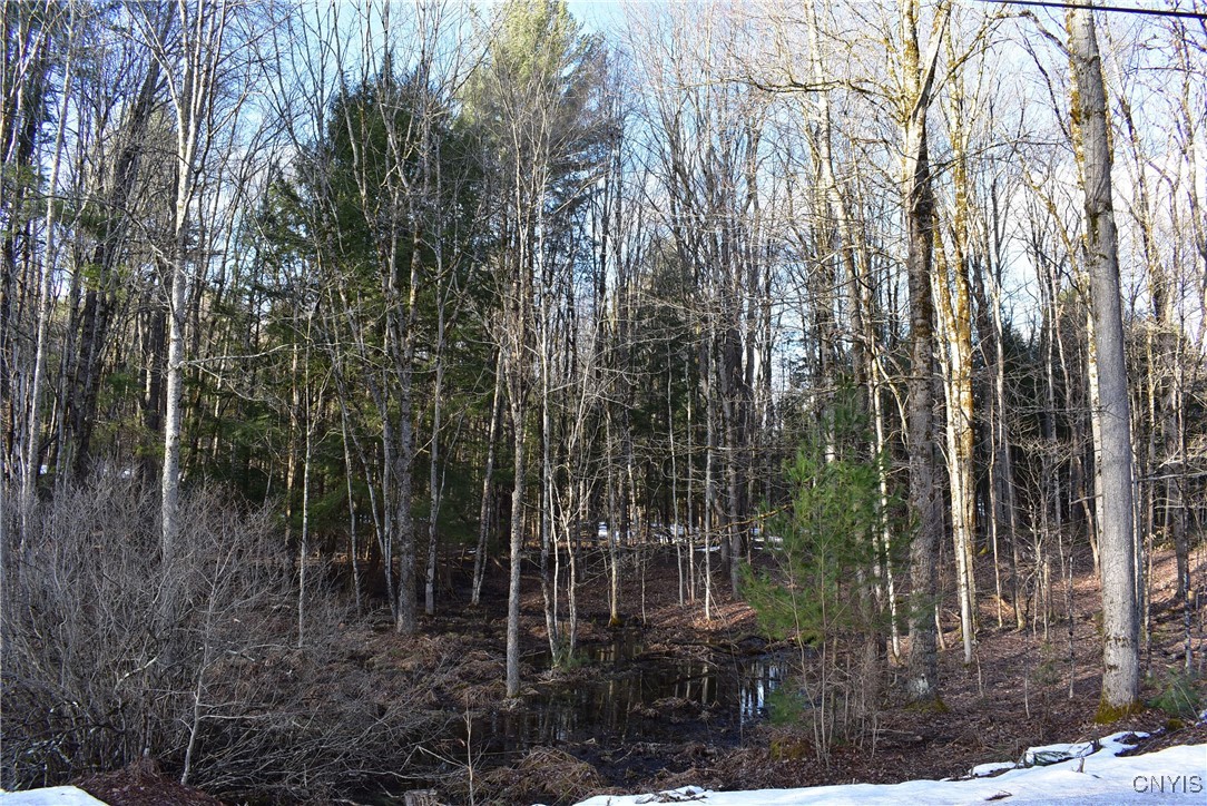 Holly Hole Road, Constantia, New York image 11