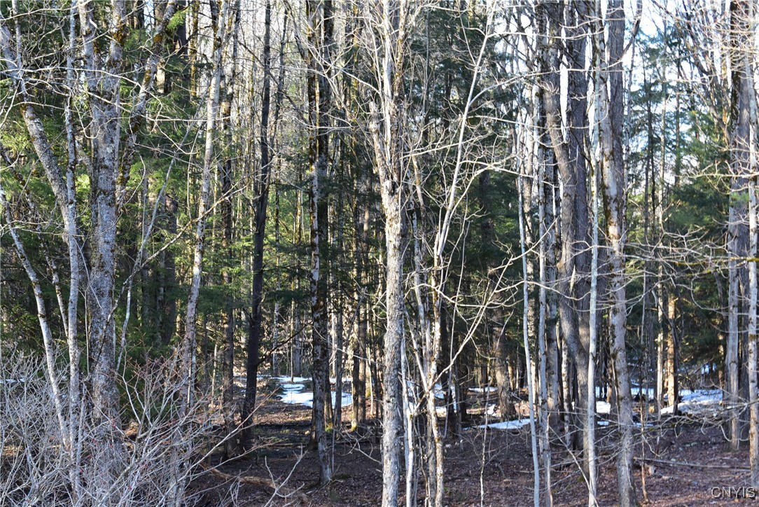 Holly Hole Road, Constantia, New York image 22