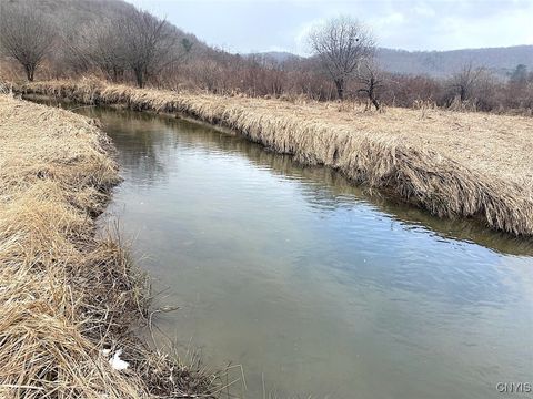 Vacant Land For Sale - Cr-38<br/> Alma, NY 14708