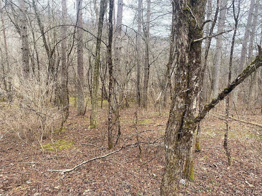 Cr-38, Alma, New York image 5