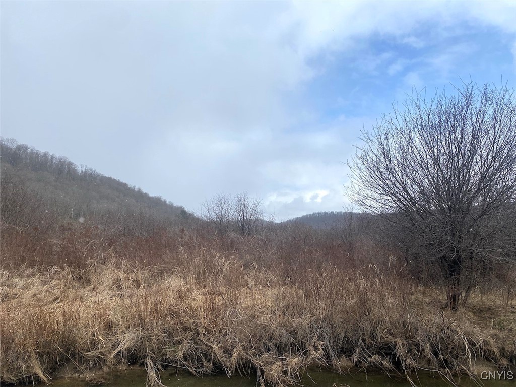 Cr-38, Alma, New York image 4