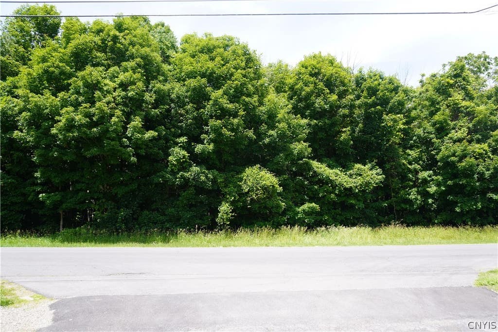 Photo of Lot 10 Middle Road, Scriba, NY 13126 (MLS # S1694160)