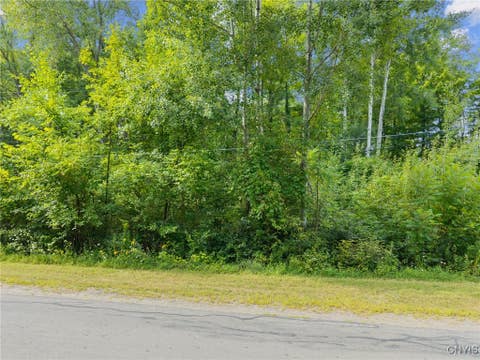 Photo for 00 Saulsbury Road