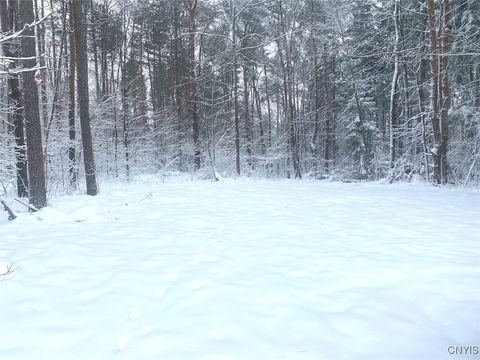 Photo of E Hill Road, Friendship, NY 14739 (MLS # S1654532)