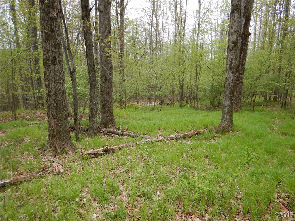 Wightman Road, Wellsville, New York image 15