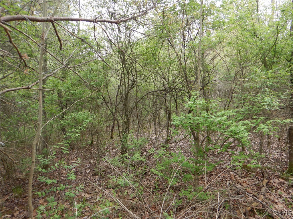 Wightman Road, Wellsville, New York image 39