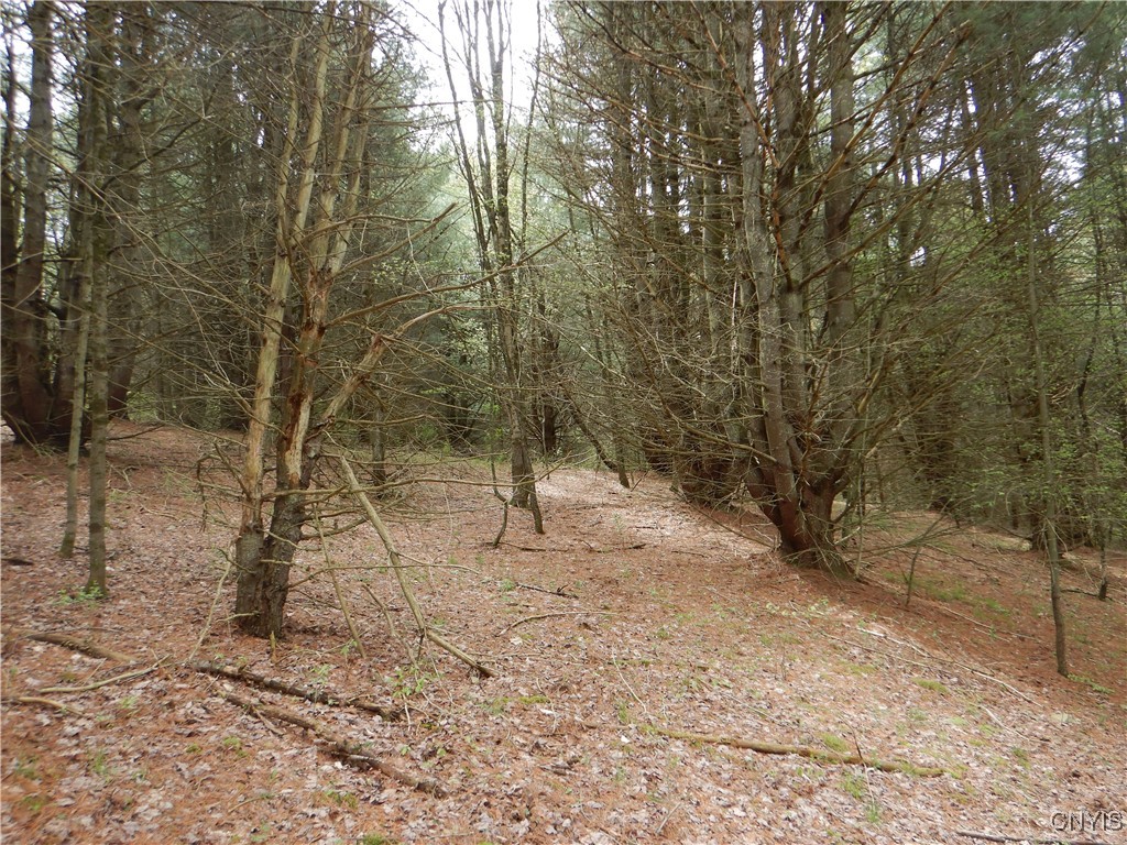 Wightman Road, Wellsville, New York image 44