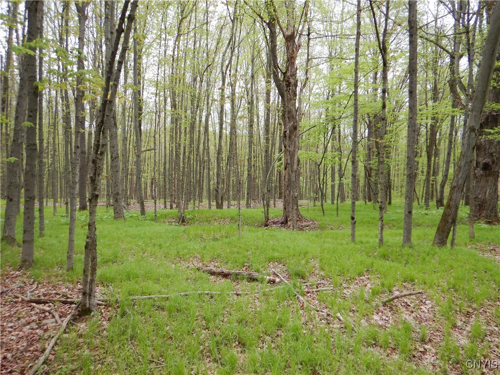 Wightman Road, Wellsville, New York image 37